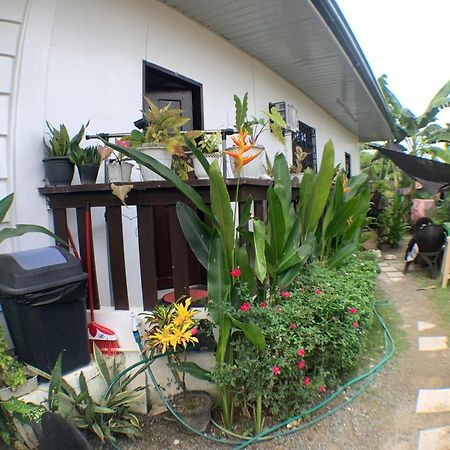 Jml Homestay General Luna  Exterior foto