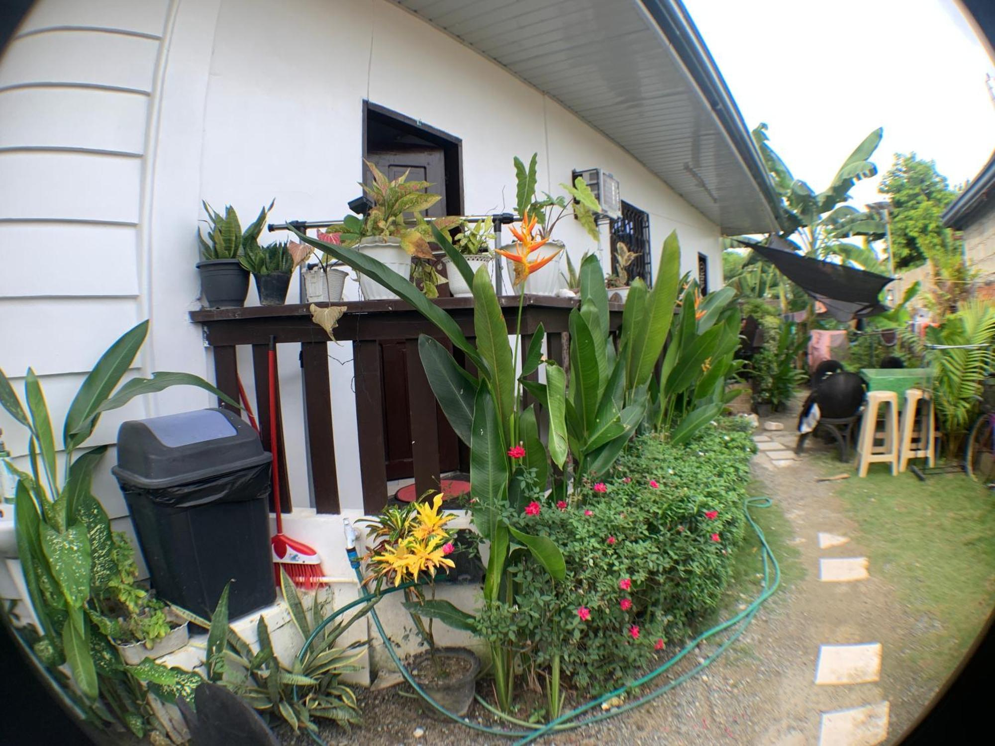 Jml Homestay General Luna  Exterior foto