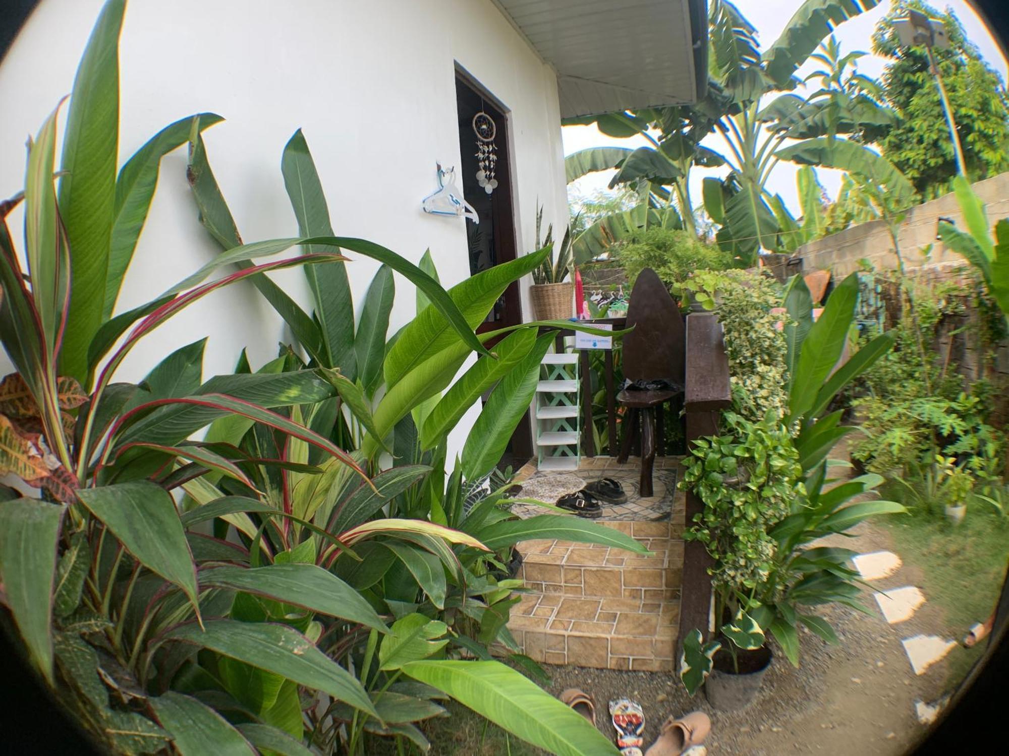 Jml Homestay General Luna  Exterior foto